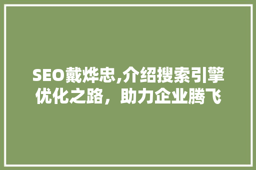 SEO戴烨忠,介绍搜索引擎优化之路，助力企业腾飞 必应SEO