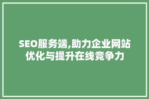 SEO服务端,助力企业网站优化与提升在线竞争力 GoogleSEO