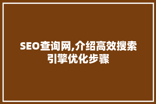 SEO查询网,介绍高效搜索引擎优化步骤 GoogleSEO