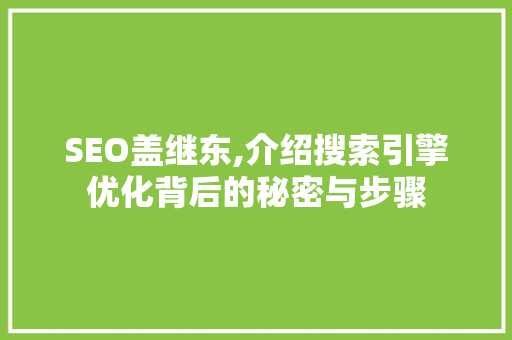 SEO盖继东,介绍搜索引擎优化背后的秘密与步骤 必应SEO