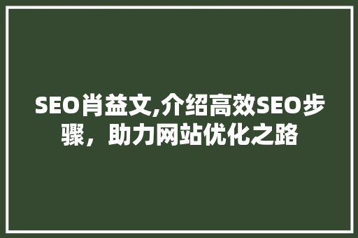 SEO肖益文,介绍高效SEO步骤，助力网站优化之路 搜狗SEO