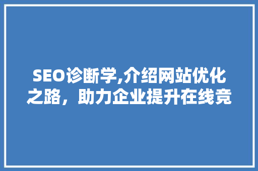 SEO诊断学,介绍网站优化之路，助力企业提升在线竞争力 百度SEO