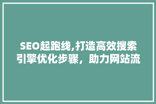 SEO起跑线,打造高效搜索引擎优化步骤，助力网站流量攀升 必应SEO