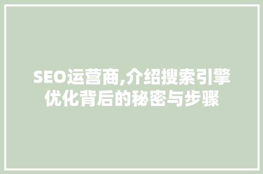 SEO运营商,介绍搜索引擎优化背后的秘密与步骤 搜狗SEO