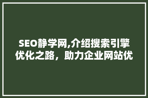 SEO静学网,介绍搜索引擎优化之路，助力企业网站优化步骤 搜狗SEO