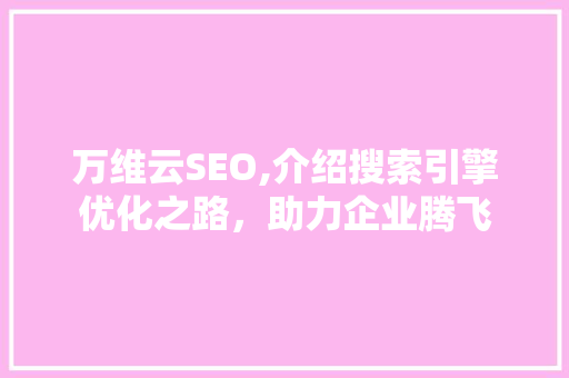 万维云SEO,介绍搜索引擎优化之路，助力企业腾飞 百度SEO