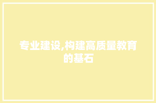 专业建设,构建高质量教育的基石 GoogleSEO