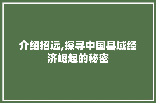 介绍招远,探寻中国县域经济崛起的秘密 GoogleSEO