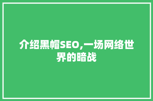介绍黑帽SEO,一场网络世界的暗战 百度SEO