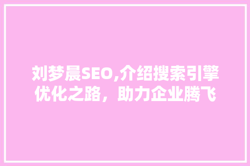 刘梦晨SEO,介绍搜索引擎优化之路，助力企业腾飞 搜狗SEO