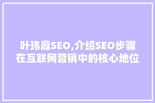 叶玮庭SEO,介绍SEO步骤在互联网营销中的核心地位 百度SEO