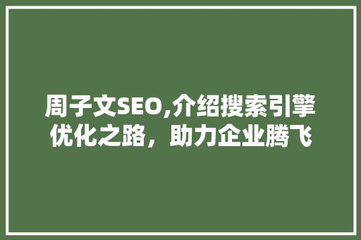 周子文SEO,介绍搜索引擎优化之路，助力企业腾飞 百度SEO