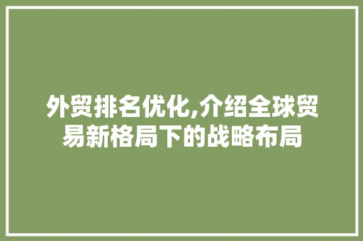 外贸排名优化,介绍全球贸易新格局下的战略布局 GoogleSEO