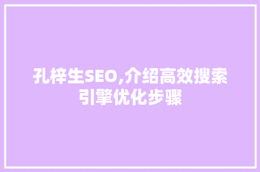 孔梓生SEO,介绍高效搜索引擎优化步骤 必应SEO