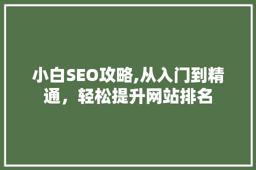 小白SEO攻略,从入门到精通，轻松提升网站排名 GoogleSEO
