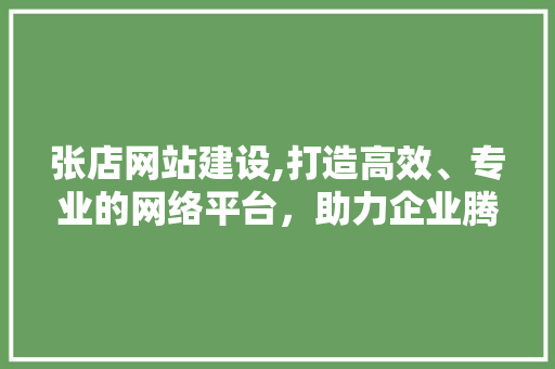 张店网站建设,打造高效、专业的网络平台，助力企业腾飞 必应SEO