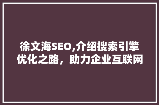 徐文海SEO,介绍搜索引擎优化之路，助力企业互联网营销 百度SEO