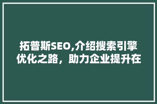 拓普斯SEO,介绍搜索引擎优化之路，助力企业提升在线竞争力 神马SEO
