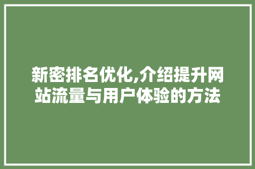 新密排名优化,介绍提升网站流量与用户体验的方法 百度SEO
