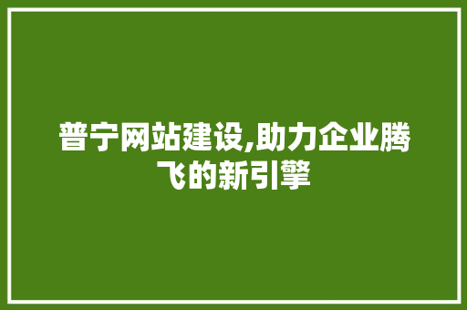 普宁网站建设,助力企业腾飞的新引擎 神马SEO