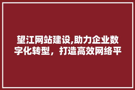 望江网站建设,助力企业数字化转型，打造高效网络平台 神马SEO