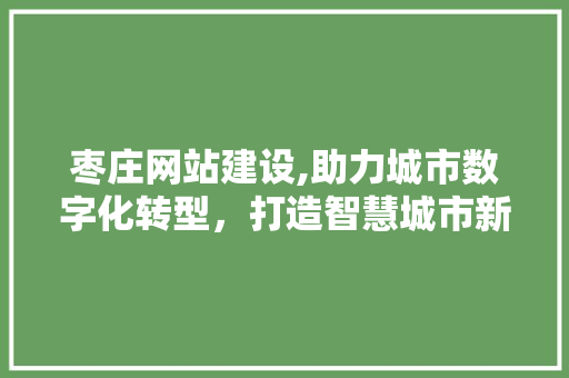 枣庄网站建设,助力城市数字化转型，打造智慧城市新名片 百度SEO