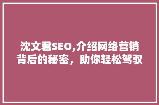 沈文君SEO,介绍网络营销背后的秘密，助你轻松驾驭搜索引擎 神马SEO