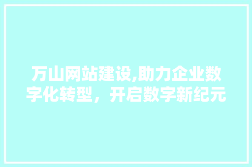 万山网站建设,助力企业数字化转型，开启数字新纪元 百度SEO