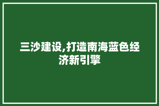 三沙建设,打造南海蓝色经济新引擎 必应SEO