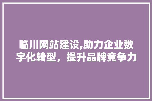 临川网站建设,助力企业数字化转型，提升品牌竞争力 百度SEO