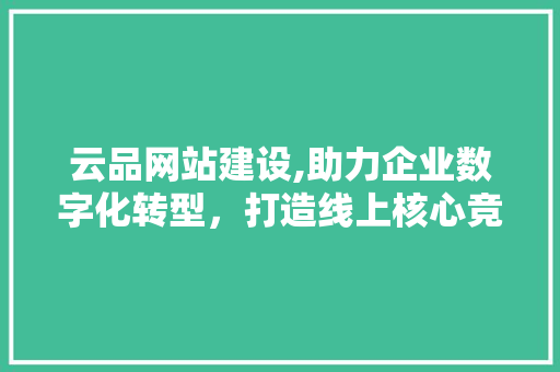 云品网站建设,助力企业数字化转型，打造线上核心竞争力 GoogleSEO