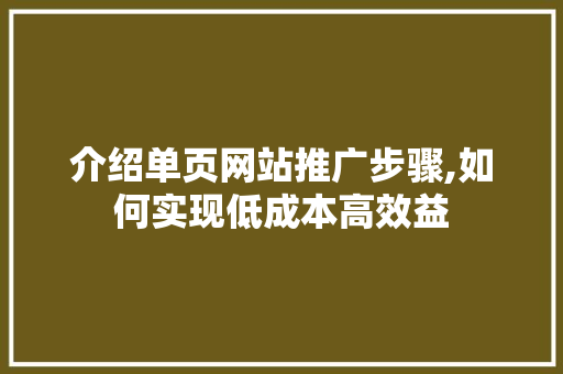 介绍单页网站推广步骤,如何实现低成本高效益 神马SEO