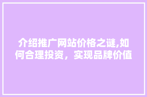 介绍推广网站价格之谜,如何合理投资，实现品牌价值最大化 百度SEO