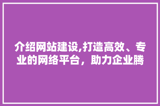 介绍网站建设,打造高效、专业的网络平台，助力企业腾飞 GoogleSEO