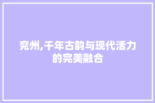 兖州,千年古韵与现代活力的完美融合 搜狗SEO
