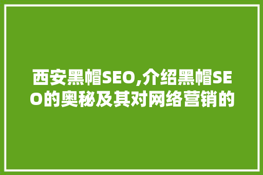 西安黑帽SEO,介绍黑帽SEO的奥秘及其对网络营销的影响 神马SEO