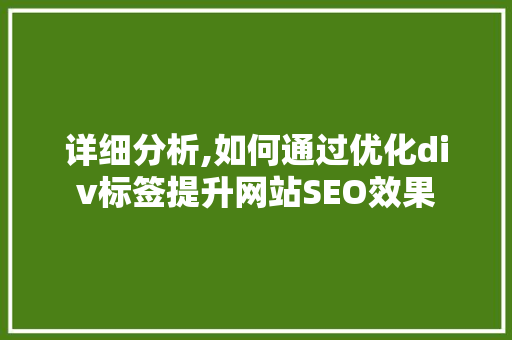 详细分析,如何通过优化div标签提升网站SEO效果 神马SEO