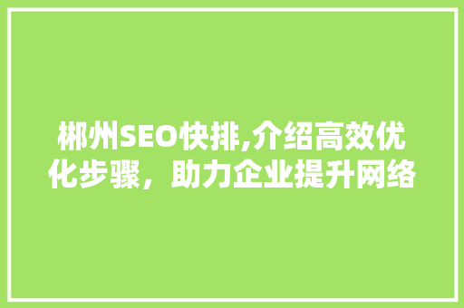 郴州SEO快排,介绍高效优化步骤，助力企业提升网络竞争力 百度SEO