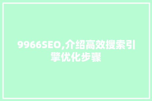 9966SEO,介绍高效搜索引擎优化步骤 搜狗SEO