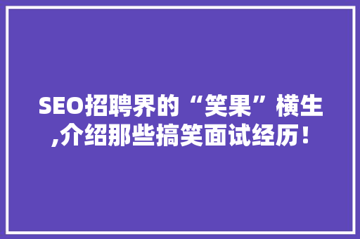 SEO招聘界的“笑果”横生,介绍那些搞笑面试经历！ 必应SEO