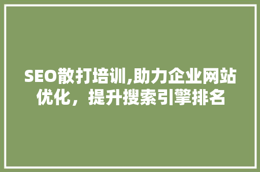 SEO散打培训,助力企业网站优化，提升搜索引擎排名 百度SEO
