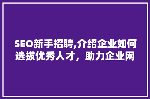 SEO新手招聘,介绍企业如何选拔优秀人才，助力企业网络营销腾飞 百度SEO