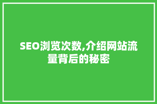 SEO浏览次数,介绍网站流量背后的秘密 GoogleSEO
