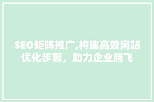 SEO矩阵推广,构建高效网站优化步骤，助力企业腾飞 GoogleSEO