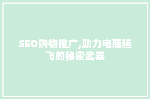 SEO购物推广,助力电商腾飞的秘密武器 百度SEO
