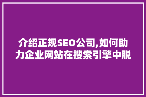 介绍正规SEO公司,如何助力企业网站在搜索引擎中脱颖而出 GoogleSEO