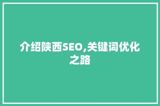 介绍陕西SEO,关键词优化之路 百度SEO