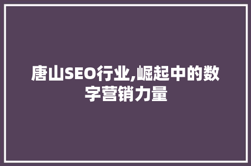 唐山SEO行业,崛起中的数字营销力量 神马SEO