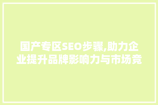 国产专区SEO步骤,助力企业提升品牌影响力与市场竞争力 必应SEO