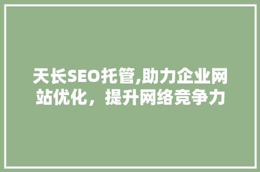 天长SEO托管,助力企业网站优化，提升网络竞争力